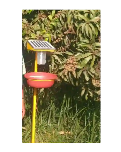 FARMROOT SOLAR INSECT TRAP