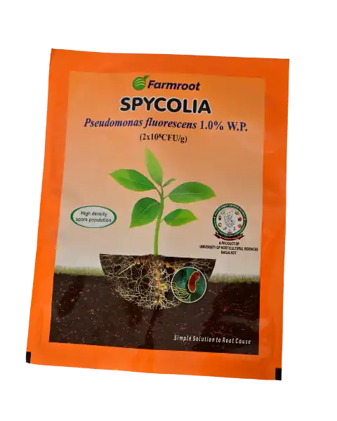 FARMROOT SPYCOLIA