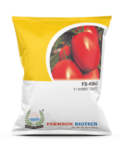 FARMSON KING F1 HYBRID TOMATO SEEDS (SQUARE OVAL AND RED)