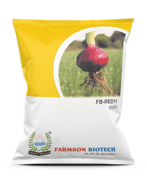 FARMSON RED 11 ONION SEEDS (RED OR PINKISH RED)