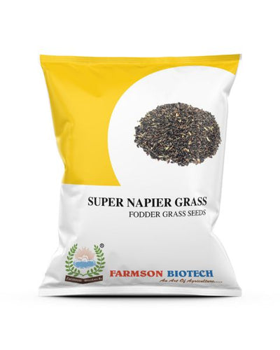 FARMSON SUPER NAPIER GRASS SEEDS