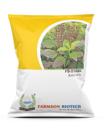 FARMSON FB-SHYAMA BLACK BASIL SEEDS