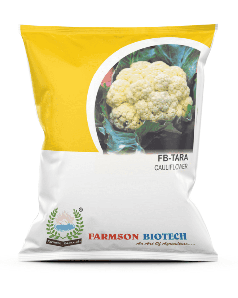 FARMSON FB-TARA CAULIFLOWER SEEDS