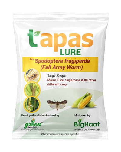 TAPAS FALL ARMY WORM LURE