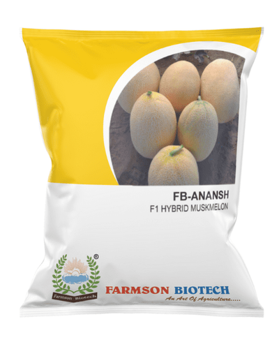 FB- ANANAS F1 HYBRID MUSKMELON SEEDS