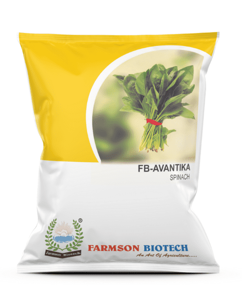 FARMSON FB-AVANTIKA SPINACH SEEDS