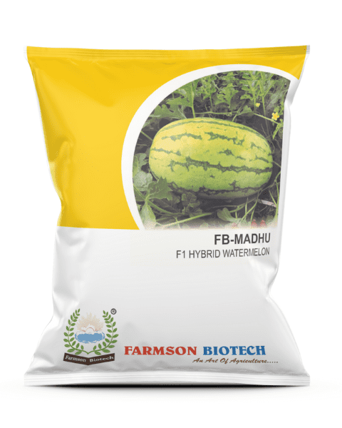 FB-MADHU F1 HYBRID WATERMELON SEEDS