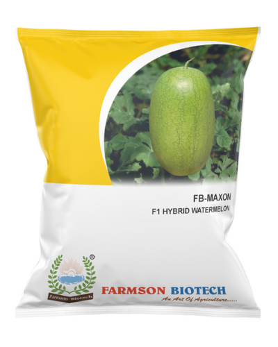 FB MAXON F1 HYBRID WATERMELON