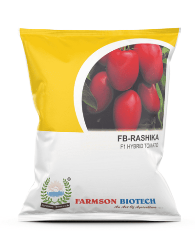 FB- RASHIKA F1HYBRID TOMATO SEEDS