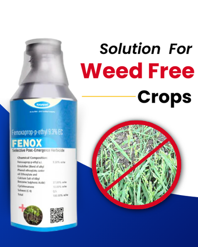 FENOX HERBICIDE