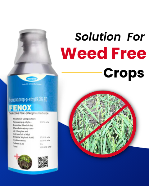 FENOX HERBICIDE