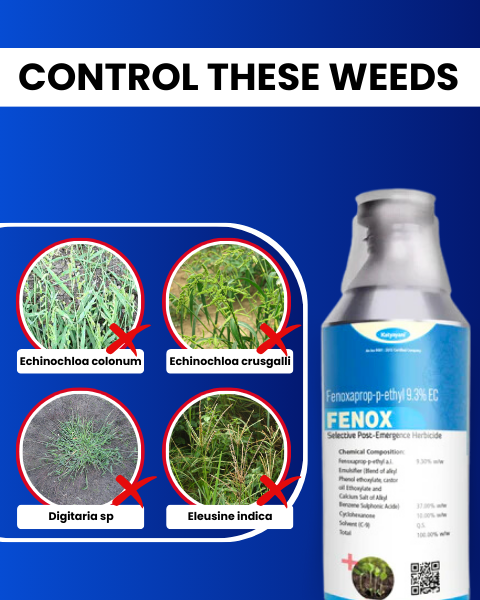 FENOX HERBICIDE