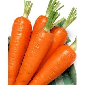 FIRE WEDGE CARROT