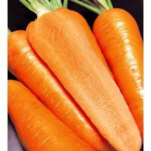 FIRE WEDGE CARROT