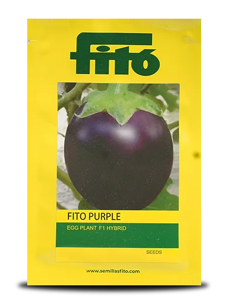 FITO PURPLE BRINJAL SEEDS