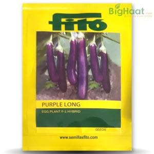 PURPLE LONG BRINJAL