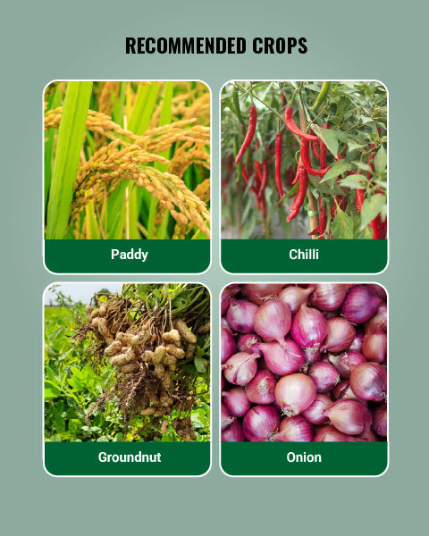 Folicur Fungicide