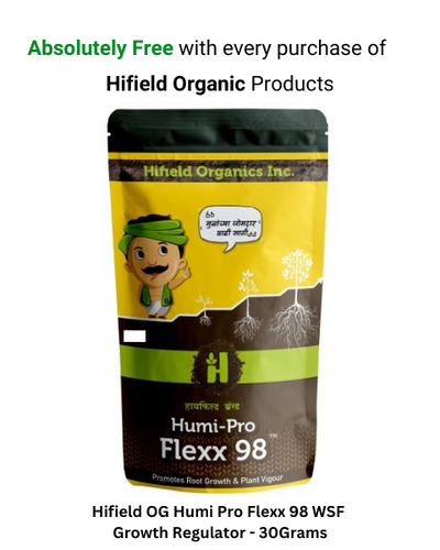 HIFIELD ORGANIC FRUIT KING (SEAWEED EXTRACT)