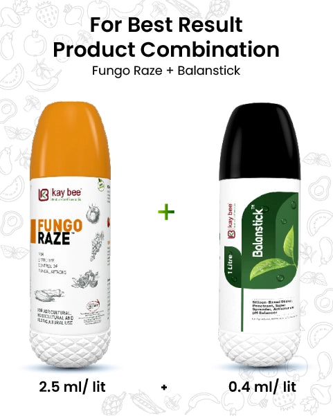 FUNGO RAZE (BIO FUNGICIDE)