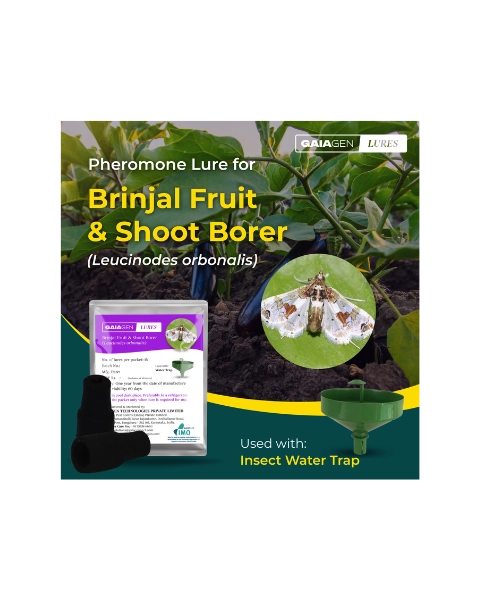 GAIAGEN BRINJAL FRUIT & SHOOT BORER LURE & INSECT WATER TRAP 1.6 L COMBO PACK