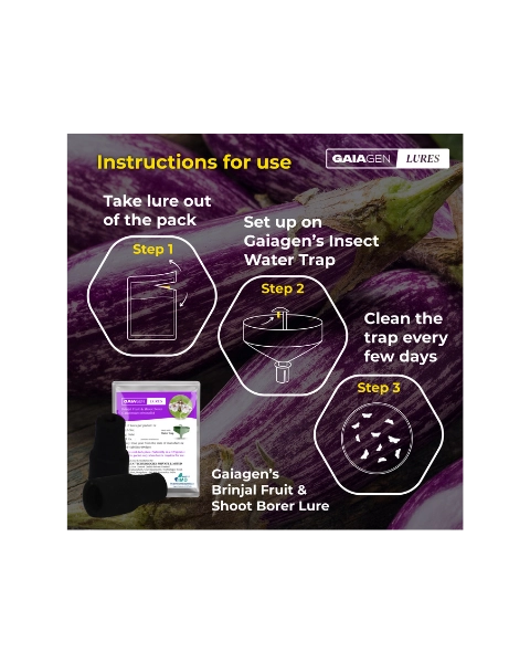 GAIAGEN BRINJAL FRUIT & SHOOT BORER LURE & INSECT WATER TRAP 1.6 L COMBO PACK