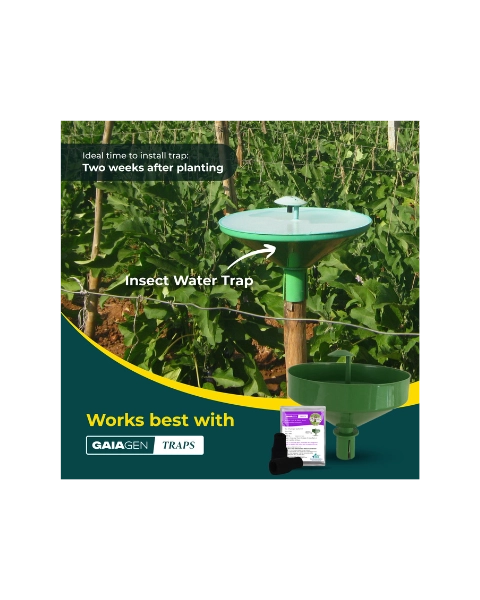 GAIAGEN BRINJAL FRUIT & SHOOT BORER LURE & INSECT WATER TRAP 1.6 L COMBO PACK