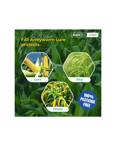 GAIAGEN FALL ARMYWORM LURE & INSECT FUNNEL TRAP COMBO PACK