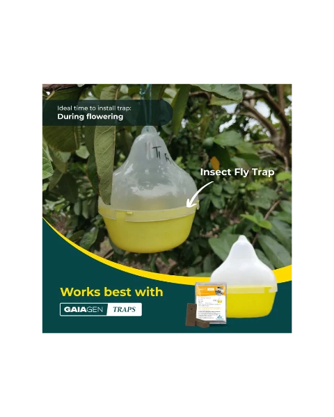 GAIAGEN PHEROMONE LURE FOR FRUIT FLY (Bactocera dorsalis)