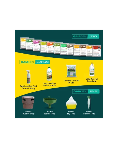 GAIAGEN PHEROMONE LURE FOR FRUIT FLY (Bactocera dorsalis)