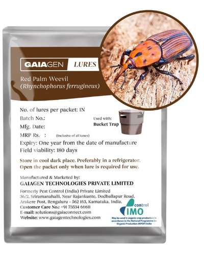 GAIAGEN PHEROMONE LURE FOR RED PALM WEEVIL (Rynchophorus ferrugineus)