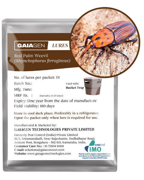 GAIAGEN PHEROMONE LURE FOR RED PALM WEEVIL (Rynchophorus ferrugineus)