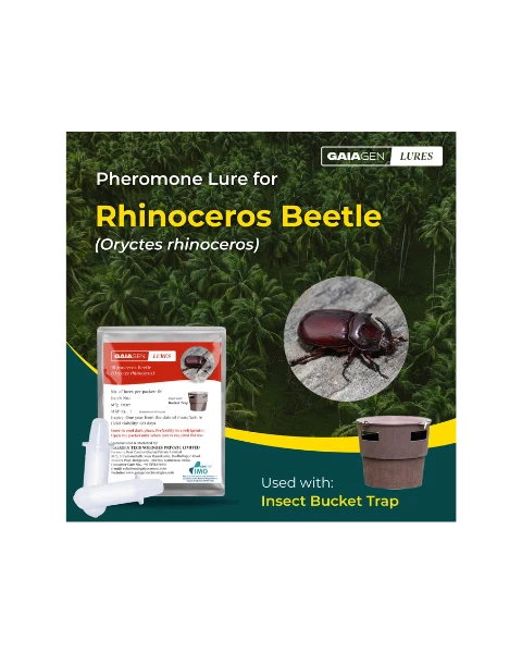 GAIAGEN PHEROMONE LURE FOR RHINOCEROS BEETLE