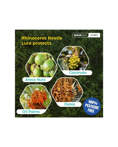 GAIAGEN PHEROMONE LURE FOR RHINOCEROS BEETLE