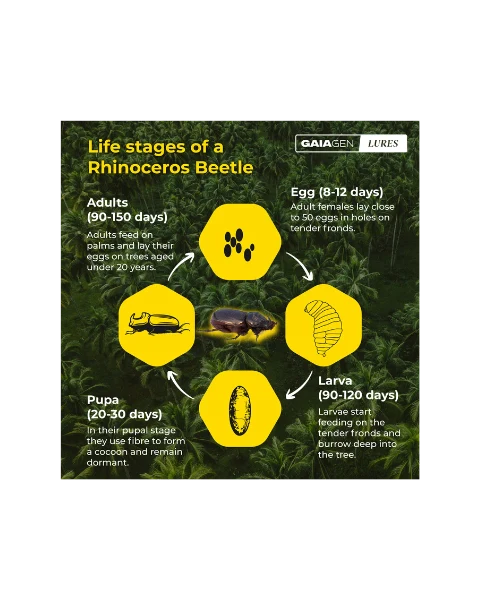 GAIAGEN PHEROMONE LURE FOR RHINOCEROS BEETLE