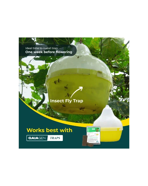 GAIAGEN PHEROMONE LURE FOR MELON FLY (Bactocera cucurbitae)