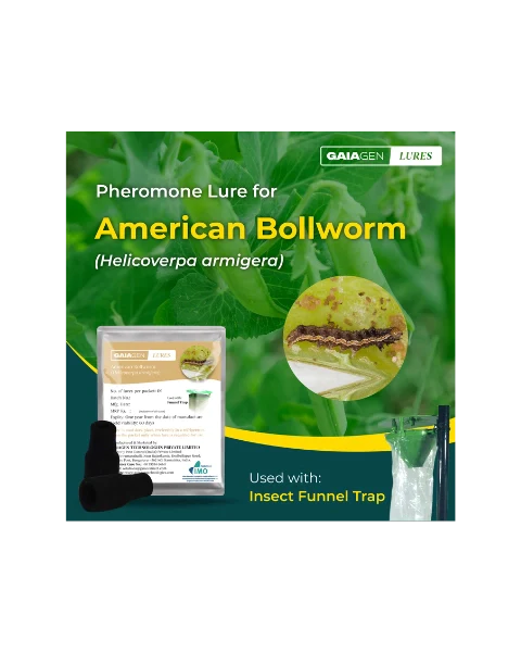 GAIAGEN PHEROMONE LURE FOR AMERICAN BOLLWORM (Helicoverpa armigera)