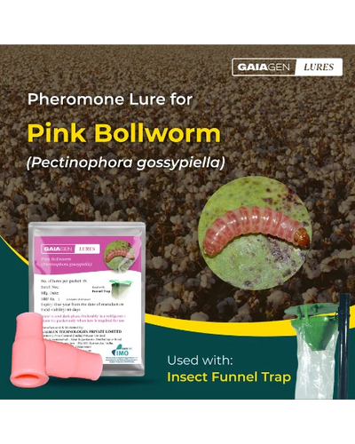 GAIAGEN PHEROMONE LURE FOR PINK BOLLWORM (Pectinophora gossypiella)