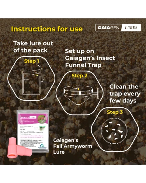 GAIAGEN PHEROMONE LURE FOR PINK BOLLWORM (Pectinophora gossypiella)