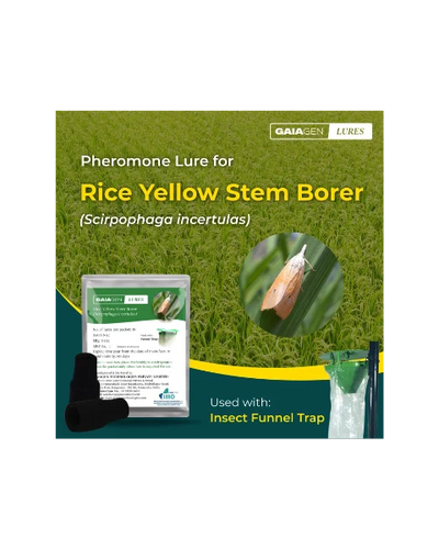 GAIAGEN PHEROMONE LURE FOR RICE YELLOW STEM BORER (Scirpophaga incertulas)