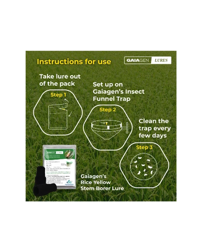 GAIAGEN PHEROMONE LURE FOR RICE YELLOW STEM BORER (Scirpophaga incertulas)