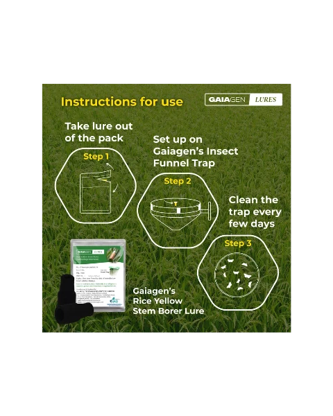 GAIAGEN PHEROMONE LURE FOR RICE YELLOW STEM BORER (Scirpophaga incertulas)