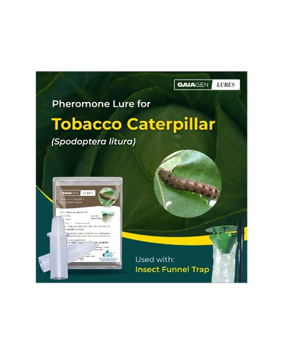 GAIAGEN PHEROMONE LURE FOR TOBACCO CATERPILLAR (Spodoptera litura)