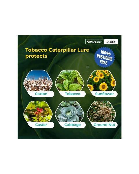 GAIAGEN PHEROMONE LURE FOR TOBACCO CATERPILLAR (Spodoptera litura)