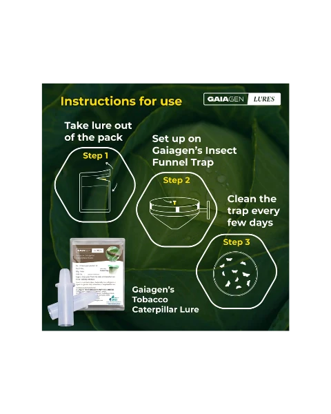 GAIAGEN PHEROMONE LURE FOR TOBACCO CATERPILLAR (Spodoptera litura)