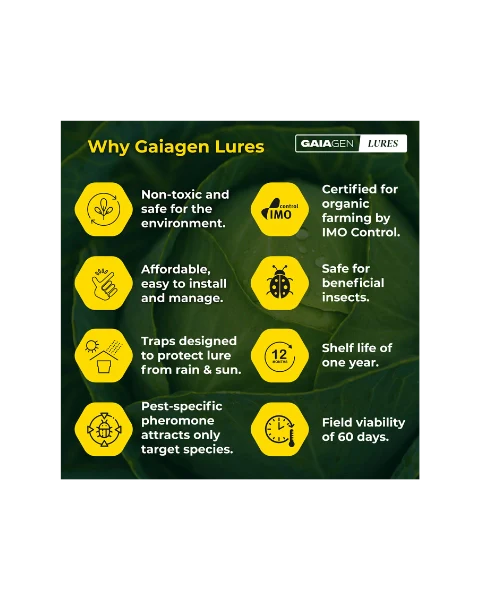 GAIAGEN PHEROMONE LURE FOR TOBACCO CATERPILLAR (Spodoptera litura)