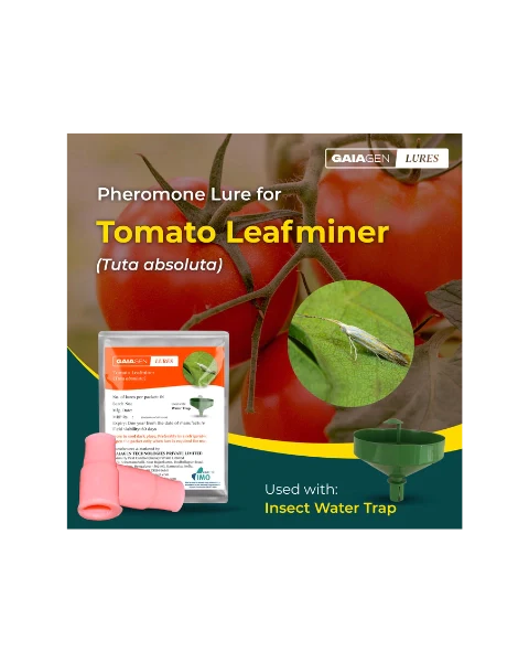 GAIAGEN PHEROMONE LURE FOR TOMATO LEAFMINER (Tuta absoluta)