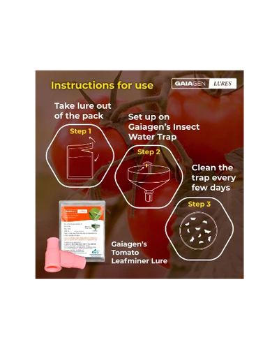 GAIAGEN PHEROMONE LURE FOR TOMATO LEAFMINER (Tuta absoluta)