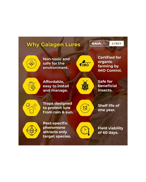 GAIAGEN PHEROMONE LURE FOR TOMATO LEAFMINER (Tuta absoluta)