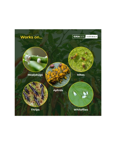 GAIAGEN NATURALS FOR SAP FEEDING PESTS