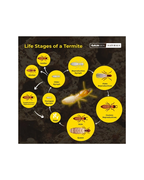 GAIAGEN NATURALS FOR TERMITES IN SOIL